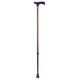 Bengala Tipo "T" c/sistema 'shock absortion'bronze