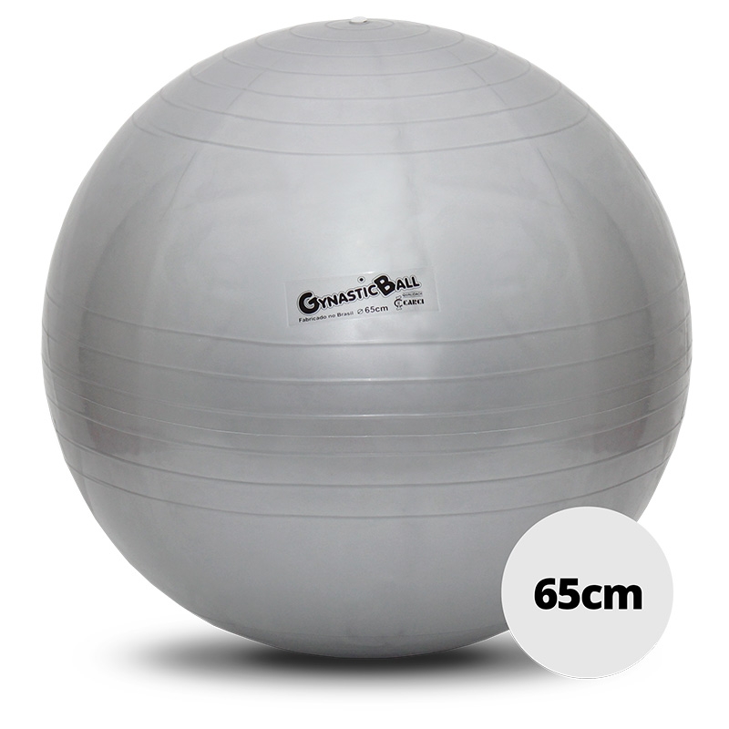Bola Suíça para Exercícios e Pilates Gynastic Ball 65cm Prata Ref. BL.01.65  - Carci Cirúrgica Passos!