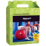 Bola Professional Gym Ball Mercur 65 cm