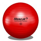 Bola Professional Gym Ball Mercur 55 cm