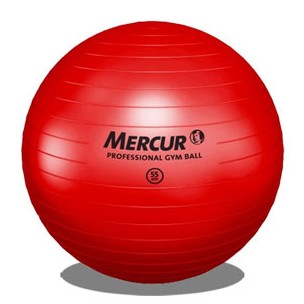 Bola Professional Gym Ball Mercur 55 cm